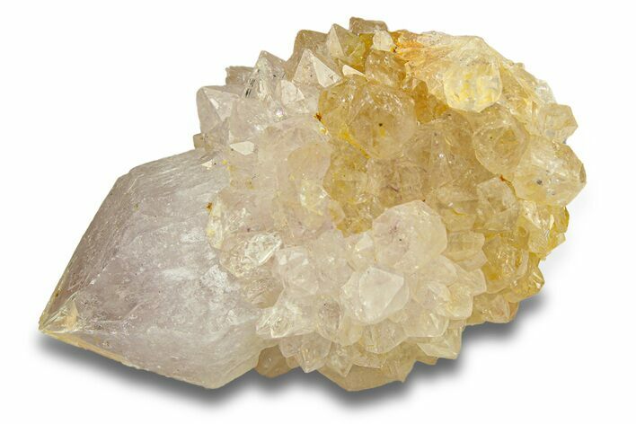 Sparkling Cactus Amethyst Crystal Cluster - South Africa #290227